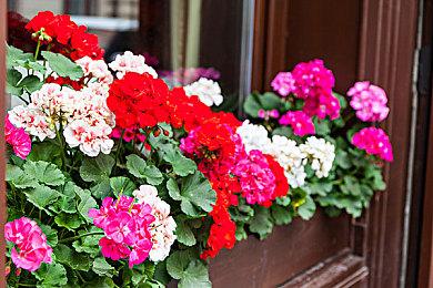 神玩伟业达成 世界首次《塞尔达姆吉拉假面》NoHitRun通关